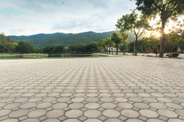 Best Decorative Driveway Pavers  in Farmersville, TX